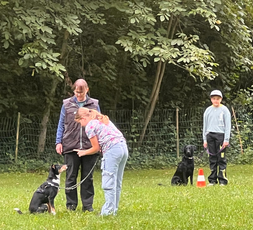 Mein Freund der Hund