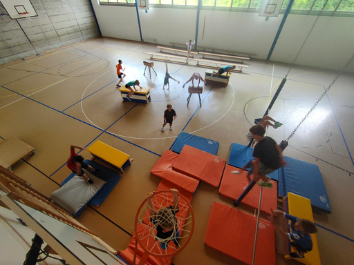Parkour & Freerunning