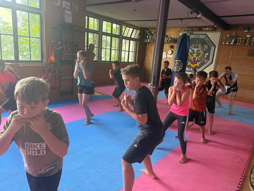 Kickboxen