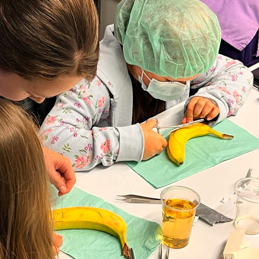 Tierklinik Mittelland