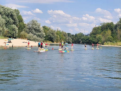 SUP auf der Aare